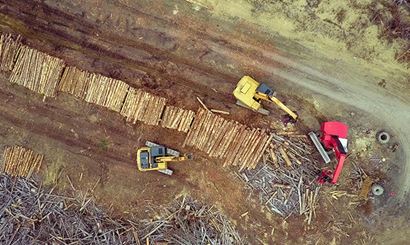 View of diggers and logs from above.