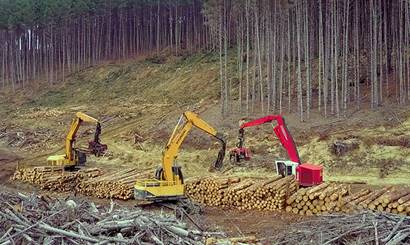 Diggers clearing logs in the forest.