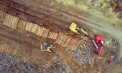 View of diggers and logs from above.