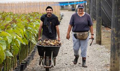 Two people at an orchard, one pushing a wheelbarrow.