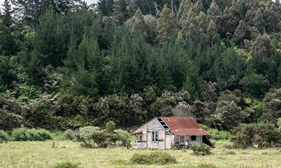 An old cottage nestled into a field with a backdrop of trees.