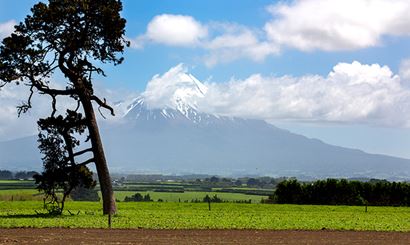 A view of land with Mt Taranaki in the background.