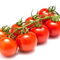 A truss of bright red ripe tomatoes.